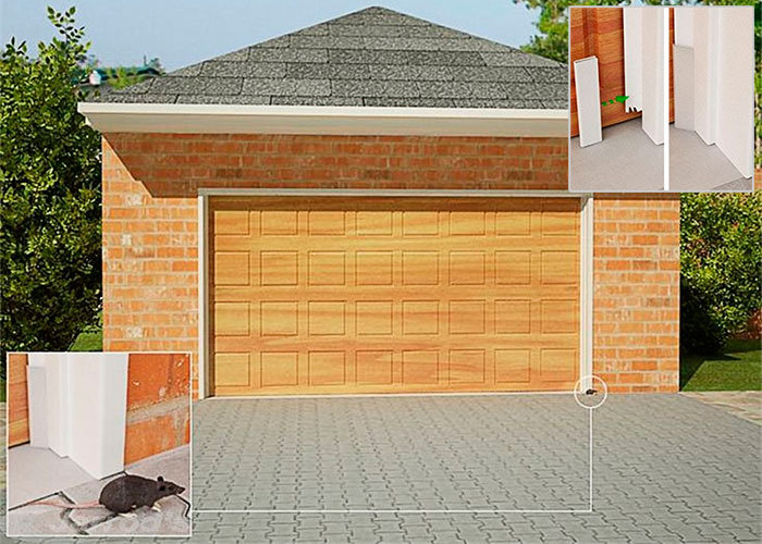 Eliminating Mice in Your Garage: Tips from the Experts — Mother