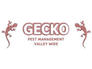 Gecko Pest Management Valley Wide
