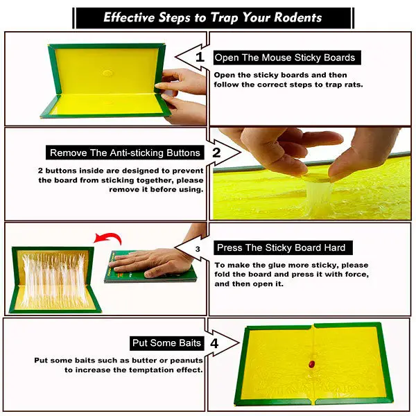 Effective Steps to Trap Your Rodents