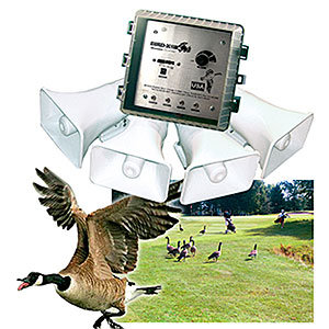Step 2: Excellent Bird Control: Sonic Devices
