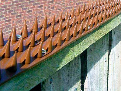 Spikes for Girder