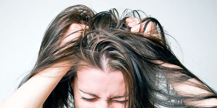 Can You Have Bed Bugs in Hair? Answers About These Nasty  