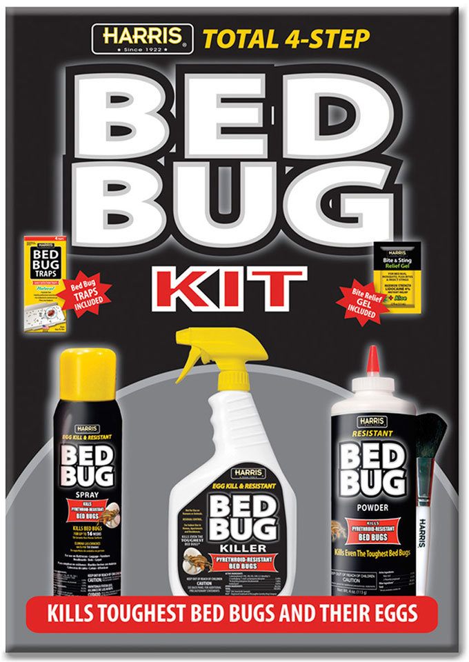 what to use to kill bed bugs