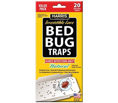 Bed Bug Glue Trap by Harris