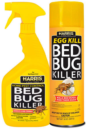 All You Ever Needed to Know About Bed Bug Repellent