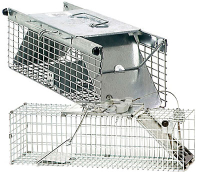 Oldham Chemical Company. Tomahawk Chipmunk, Rat, Small Squirrel Trap with  One Trap Door (16 in. x 5 in. x 5 in.)