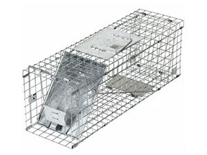 Havahart Large 1-door trap