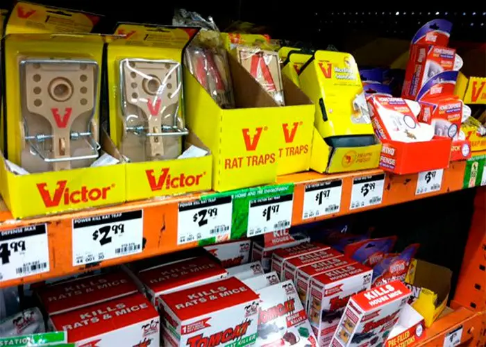 Mouse traps at Home Depot