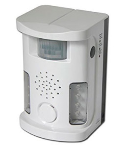 How to Get Rid of Raccoons: Best Raccoon Control Tips, Methods and Products