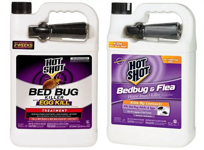 How To Kill Bed Bugs Efficient Ways To Defend Your Home Against Bed Bugs