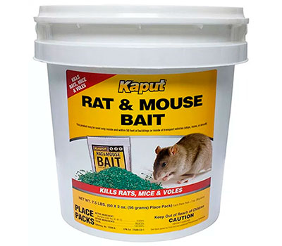 Rat & Mouse Bait by Kaput