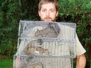 Live traps to keep squirrels