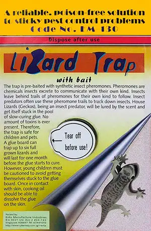Gecko Lizard Flat Trap