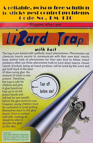 https://pestkill.org/wp-content/uploads/lizard-flat-trap.jpg