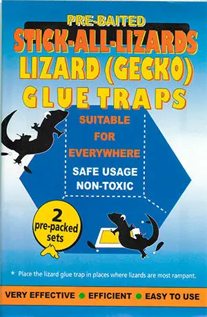 Gecko Lizard Trap Enclosed