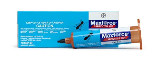 Maxforce Carpenter Ant Gel Bait