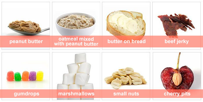 Mice bait infographic