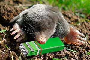 Mole and chewing gum
