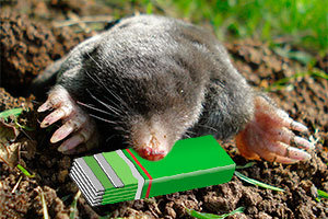 Tomcat Mole Killerₐ, Mimics Natural Food Source, Poison Kills in a