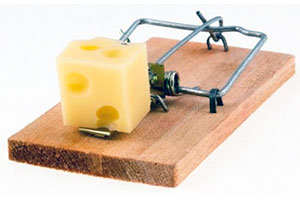 Wooden trap with some cheese