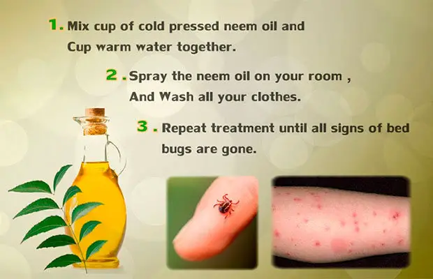 Neem oil for Bed Bugs