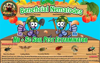 Beneficial Nematodes Flea exterminator