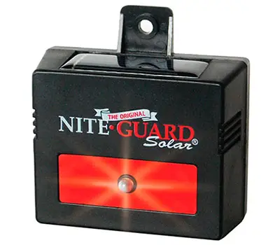 Nite Guard Solar Deterrent