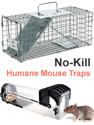 No-Kill Humane Mouse Traps