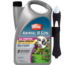 Best 10 Groundhog Repellents and Deterrents (*2024 *) Expert Review