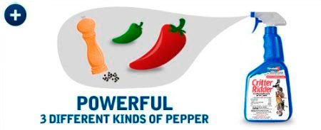Powerful 3 different kinds of pepper