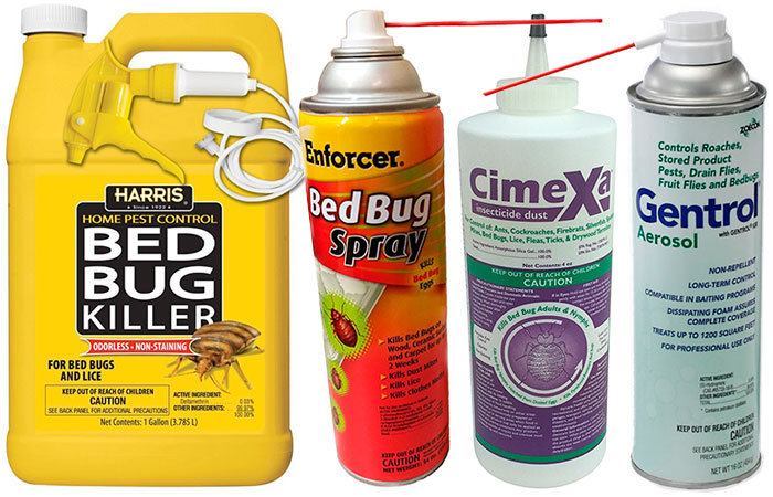 Bed bug pesticides