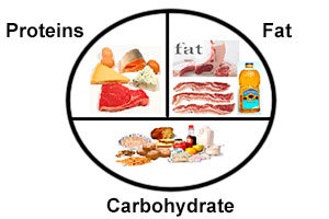 Proteins, Fat and Carbohydrate