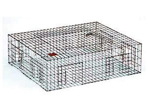 Humane pigeon trap safeguard