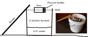 How To Build The Best 5-Gallon Bucket Mouse Trap [*2024 Edition*]