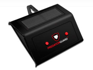 Best 10 Raccoon Repellents and Deterrents (*2022 UPDATED*)