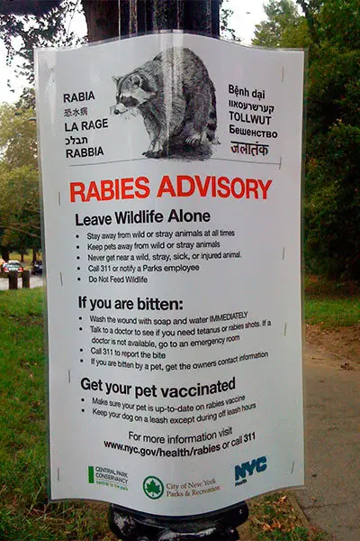 Rabies advisory