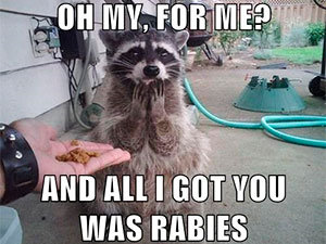 Oh my, for me? And all I got you was rabies