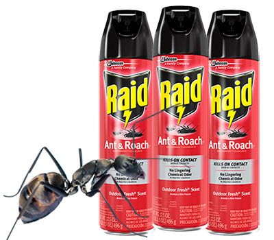 Raid Ant Spray
