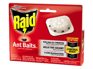Raid ant baits