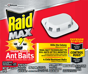Raid Max Baits for Ants