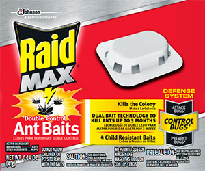 Raid Max Ant Baits