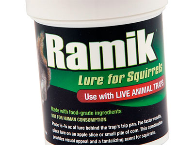 Squirrel Lure by Ramik