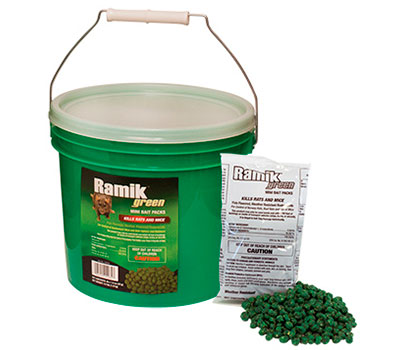 Ramik green pail