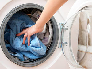 Tip 2 to kill fleas: regular washing