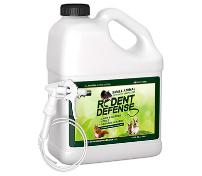 Rodent Defense Spray