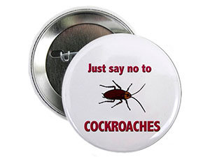Just say no to cockroaches
