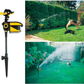 Best 10 Raccoon Repellents and Deterrents (*2021 UPDATED*)
