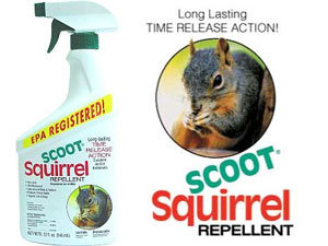 Scoot squirrel repellent