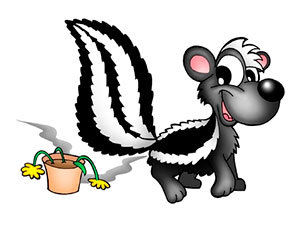 Skunk smell removal tips