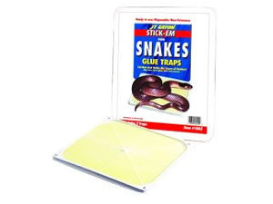 Snakes glue traps at Home Depot